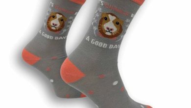 It's Guinea Be a Good Day Socks - Size 4 - 8