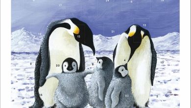 Penguins Happy Family Square Traditional Advent Calendar