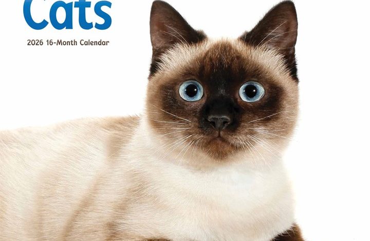 Siamese Cats Calendar 2026