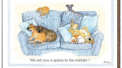 Alison's Animals Dogs Space Coaster