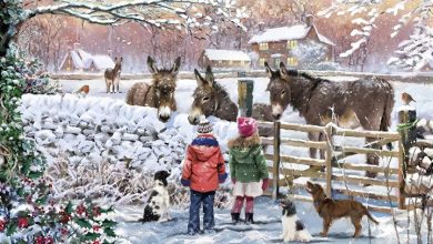 Donkey Friends Jigsaw