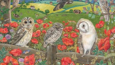 Owls in Poppy Fields Jigsaw