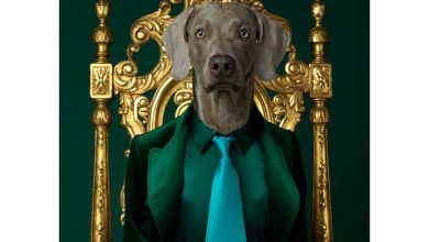 William Wegman