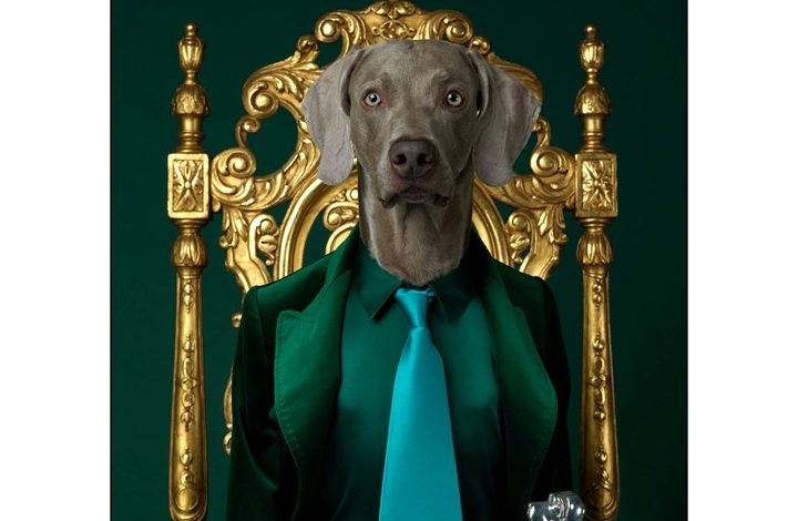 William Wegman