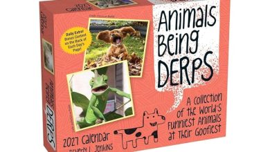Animals Being Derps Desk Calendar 2027