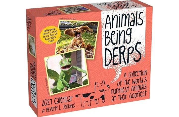 Animals Being Derps Desk Calendar 2027