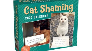 Cat Shaming Desk Calendar 2027