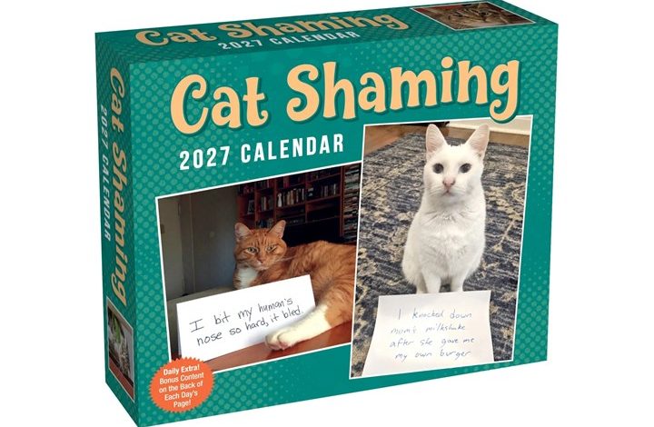 Cat Shaming Desk Calendar 2027