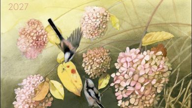 Marjolein Bastin