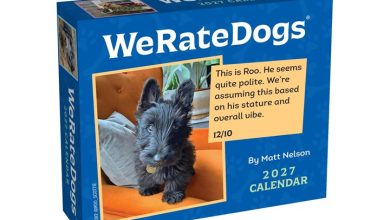 We Rate Dogs Desk Calendar 2027