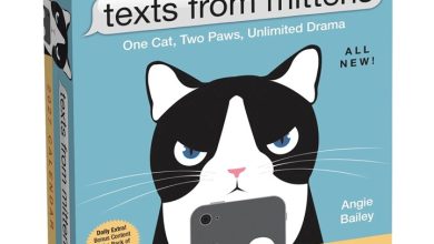 Texts From Mittens Desk Calendar 2027