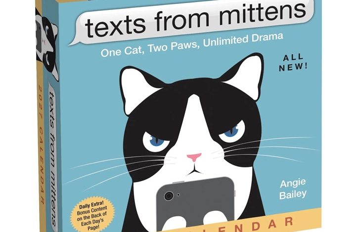 Texts From Mittens Desk Calendar 2027