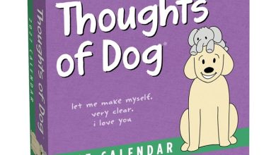 Thoughts Of Dog Desk Calendar 2027