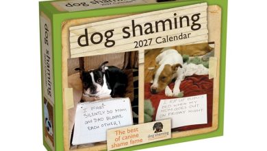 Dog Shaming Desk Calendar 2027