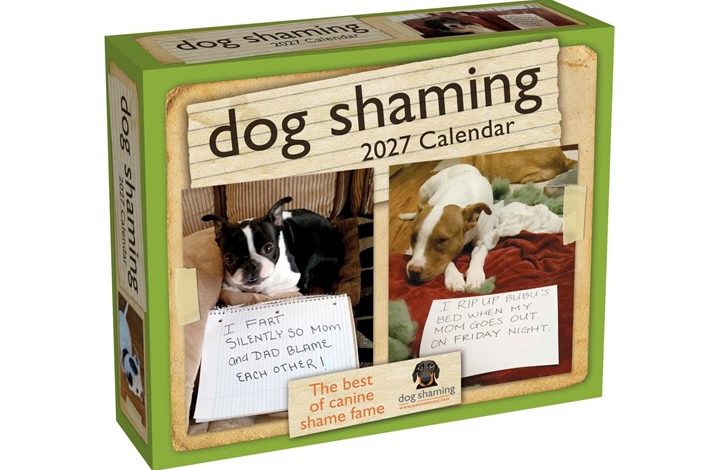 Dog Shaming Desk Calendar 2027