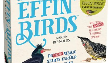 Effin' Birds Desk Calendar 2027