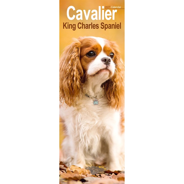 Cavalier King Charles Spaniel Slim Calendar 2027