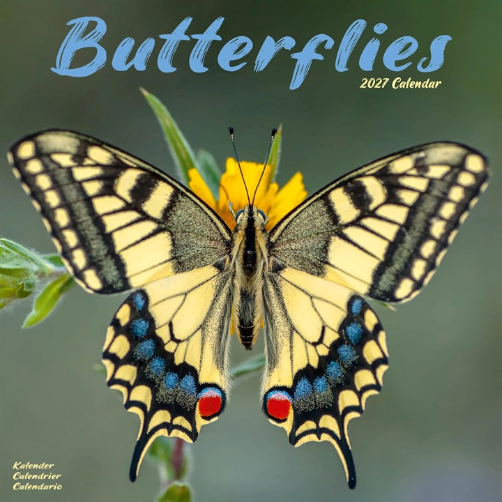 Butterflies Calendar 2027
