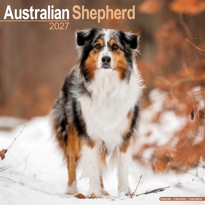 Australian Shepherd Calendar 2027