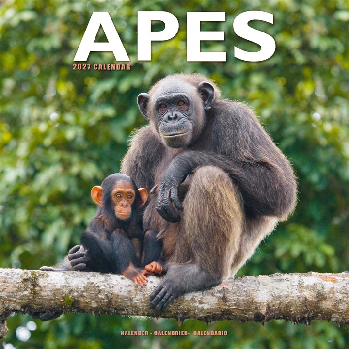 Apes Calendar 2027