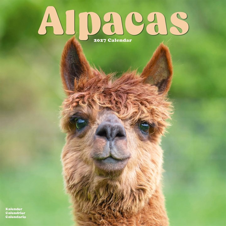 Alpacas Calendar 2027