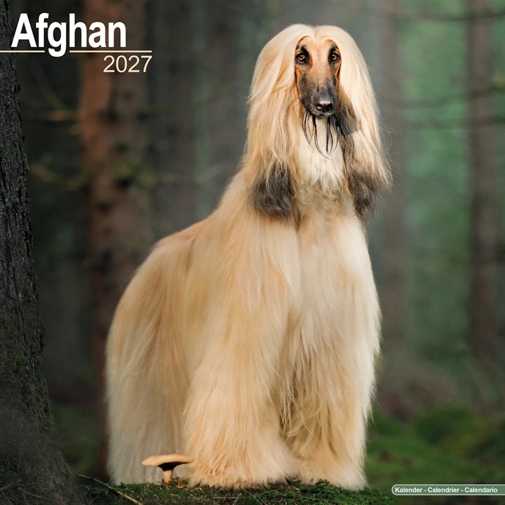Afghan Calendar 2027