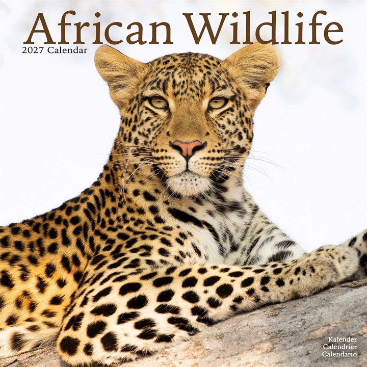 African Wildlife Calendar 2027