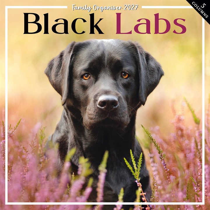 Black Labs Family Organiser 2027