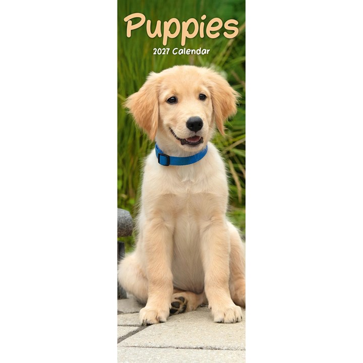 Puppies Slim Calendar 2027