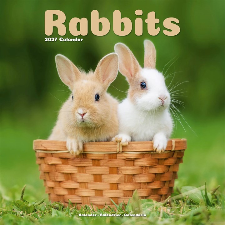 Rabbits Calendar 2027