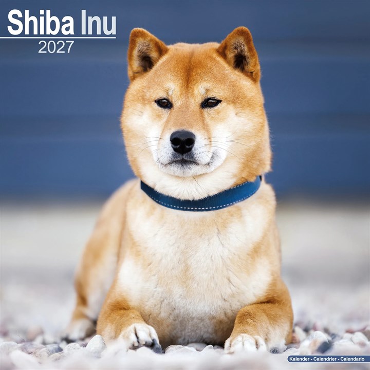 Shiba Inu Calendar 2027