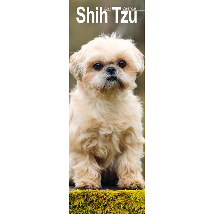 Shih Tzu Slim Calendar 2027