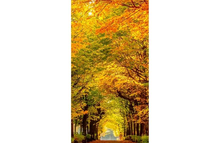 Seasons Slim Calendar 2027