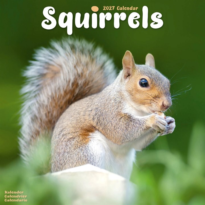 Squirrels Calendar 2027