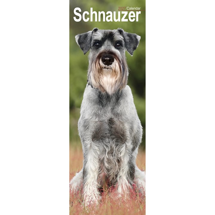 Schnauzer Slim Calendar 2027