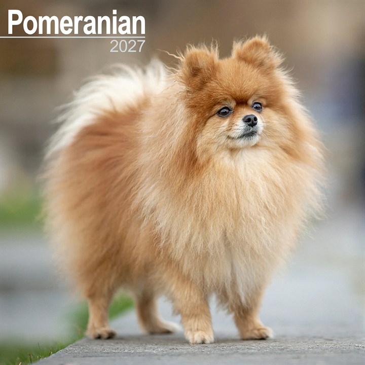 Pomeranian Calendar 2027