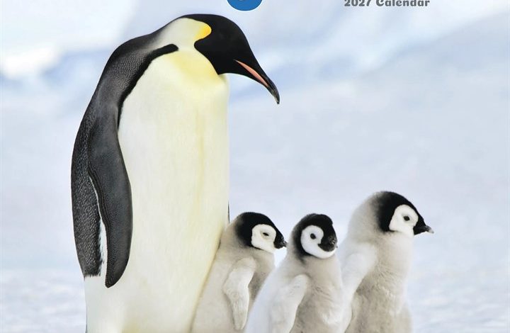 Penguins Calendar 2027