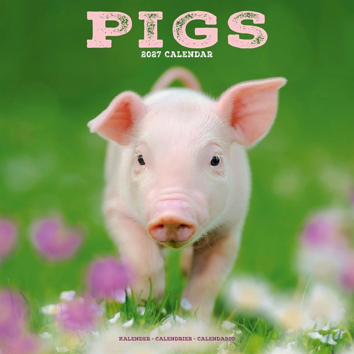 Pigs Calendar 2027