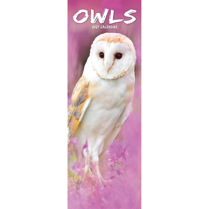 Owls Slim Calendar 2027