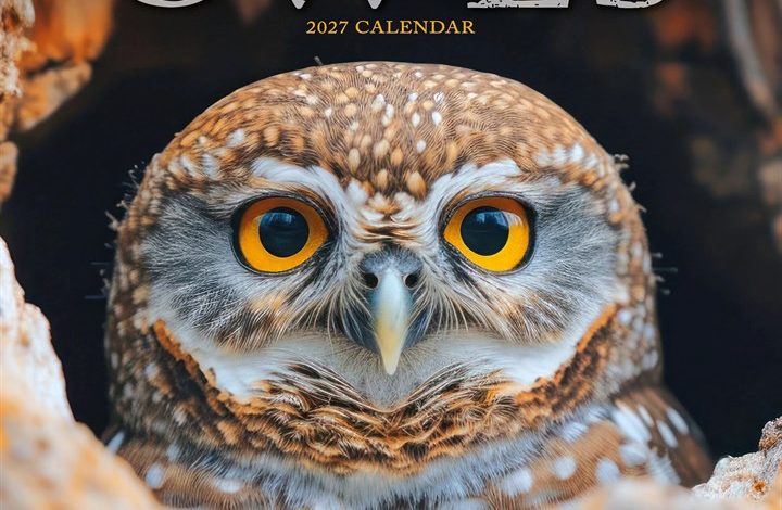 Owls Calendar 2027