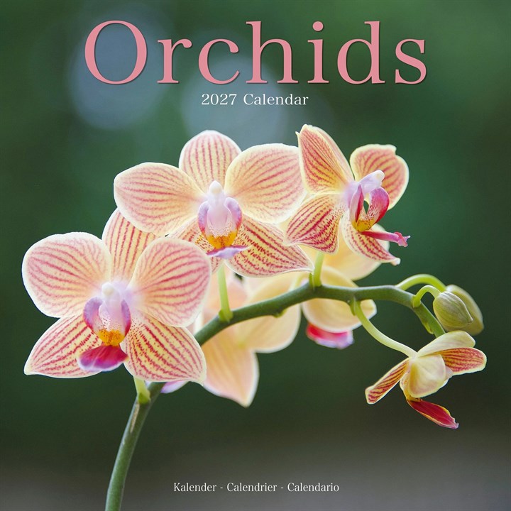 Orchids Calendar 2027