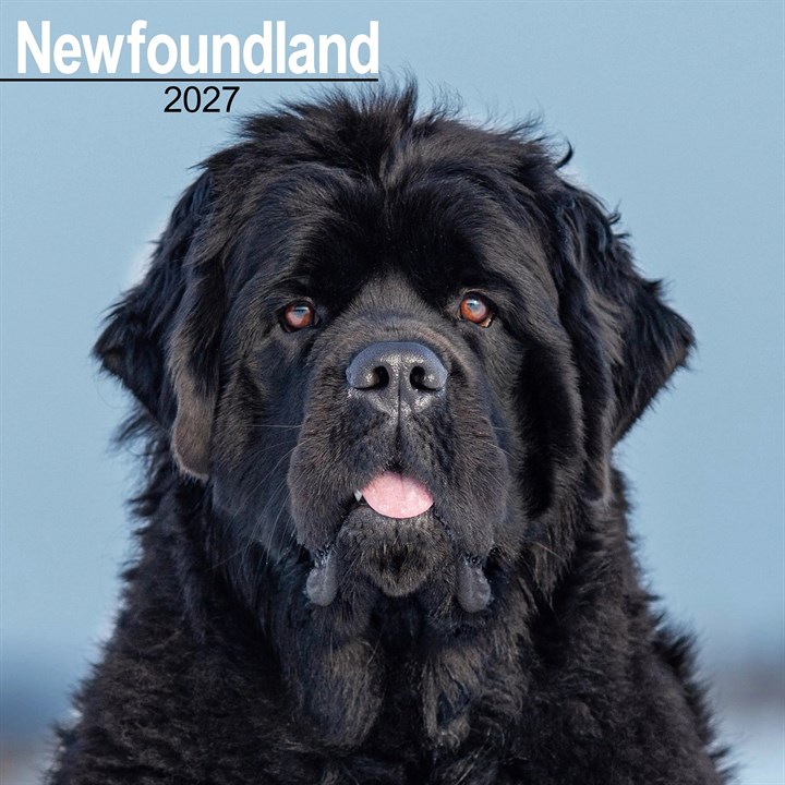 Newfoundland Calendar 2027