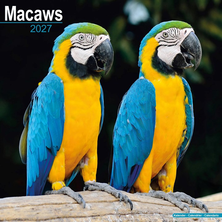Macaws Calendar 2027