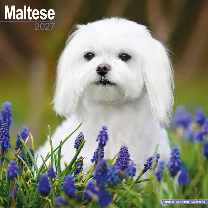 Maltese Calendar 2027