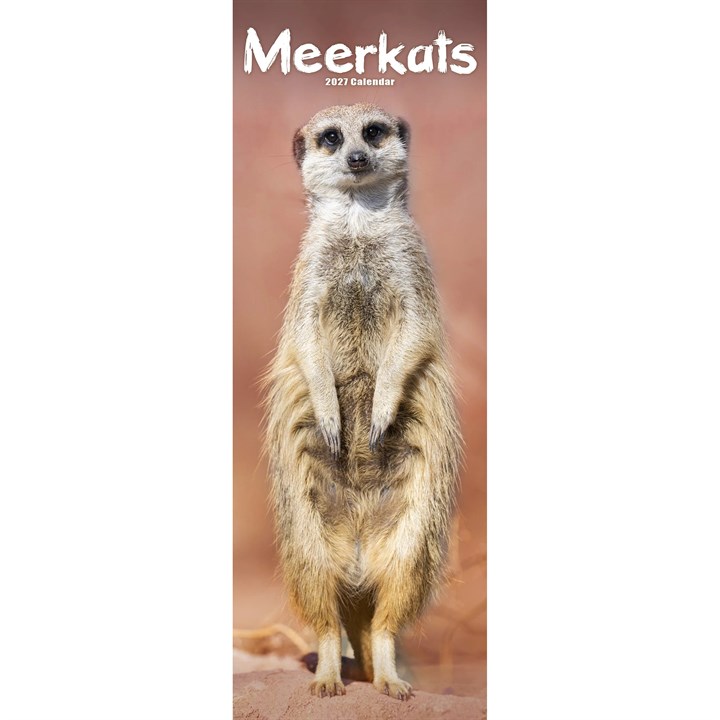 Meerkats Slim Calendar 2027