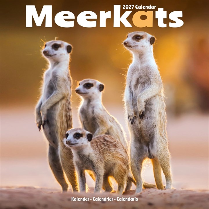 Meerkats Calendar 2027