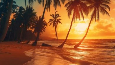 Tropical Islands Calendar 2027