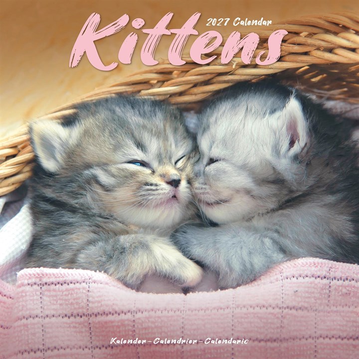 Kittens Calendar 2027