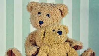 Teddy Bears Calendar 2027