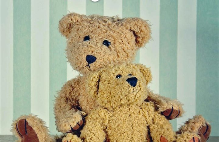Teddy Bears Calendar 2027